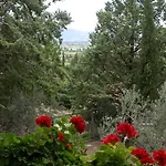 Agriturismo I Mandorli Trevi